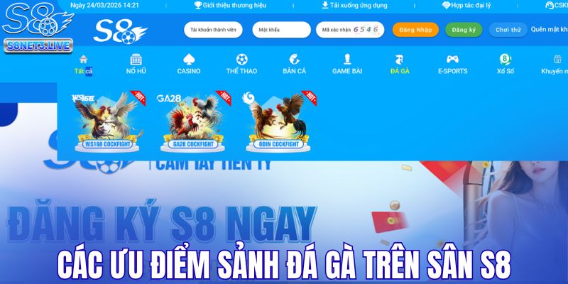 Các ưu điểm vượt trội của sảnh đá gà trên sân S8