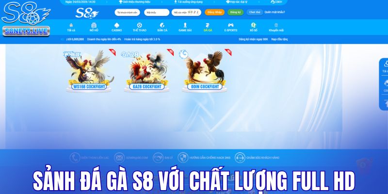 Khám phá sảnh đá gà S8 với chất lượng full HD
