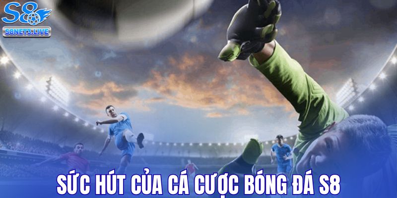 Sức hút của cá cược bóng đá S8