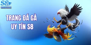 Trang Đá Gà Uy Tín S8 - Đấu Trường Thomo Đang Được Săn Đón